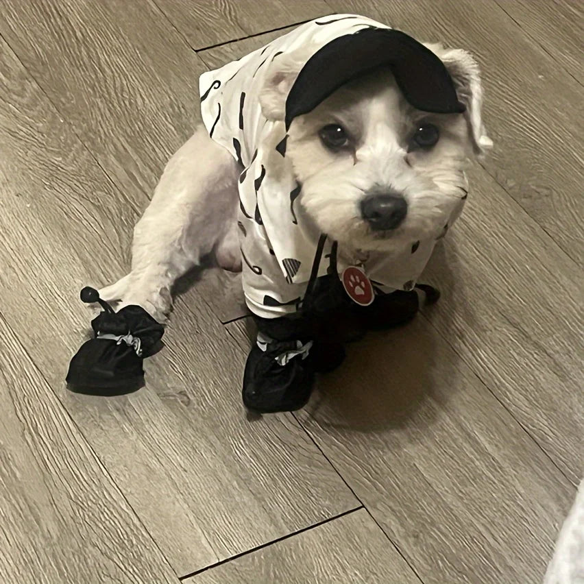 Quer Deixar Seu PET No Tempo de Chuva Com As Patinhas Secas?